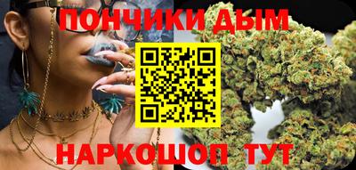 шишки Кингисепп