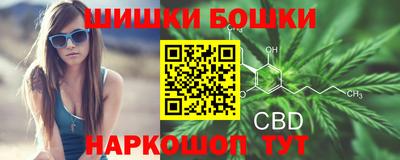 шишки Кингисепп