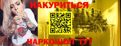 шишки Кингисепп