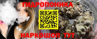 шишки Кингисепп