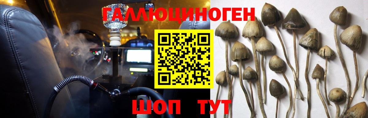 Галлюциногенные грибы прущие грибы  Галлюциногенные грибы мухоморы  Ливны  Вход с VPN 